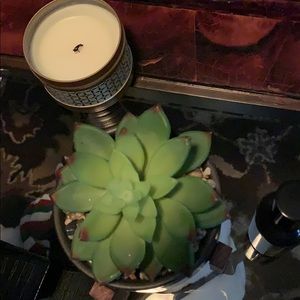 Meet your Posher, Ed